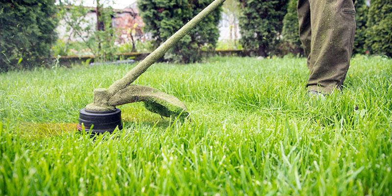 lawn maintenance services